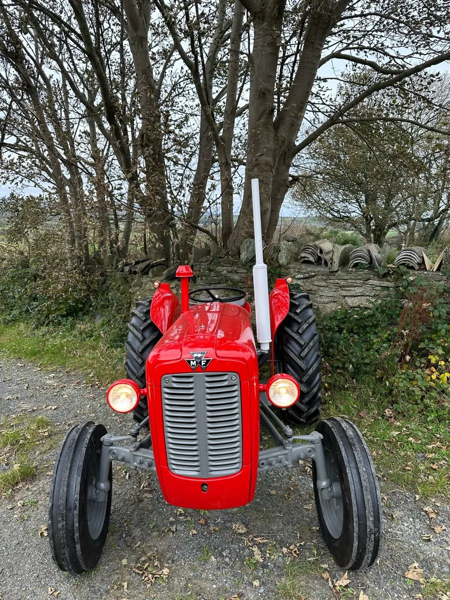 Massey Ferguson 35X - Image 3