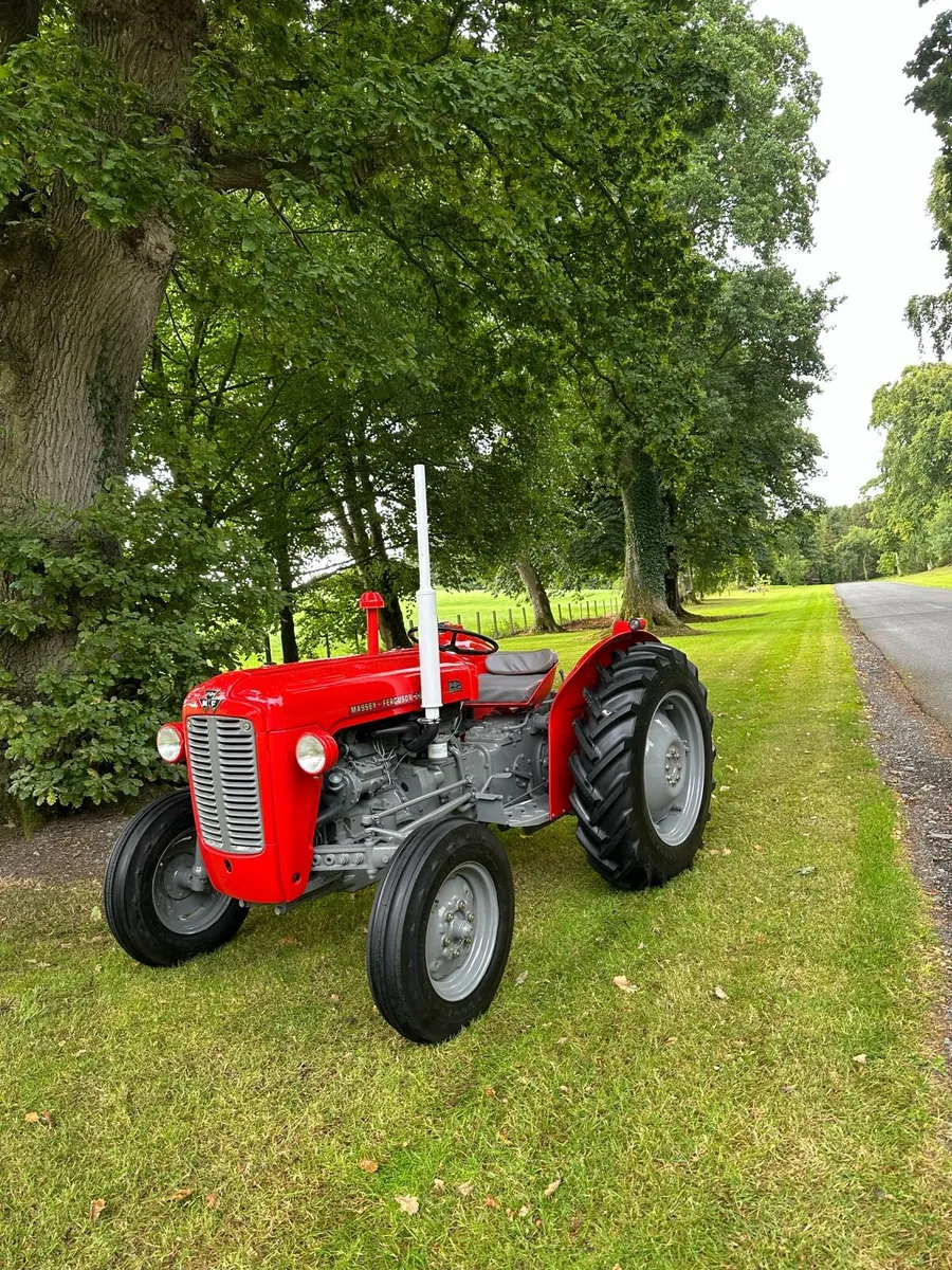Massey Ferguson 35X - Image 1