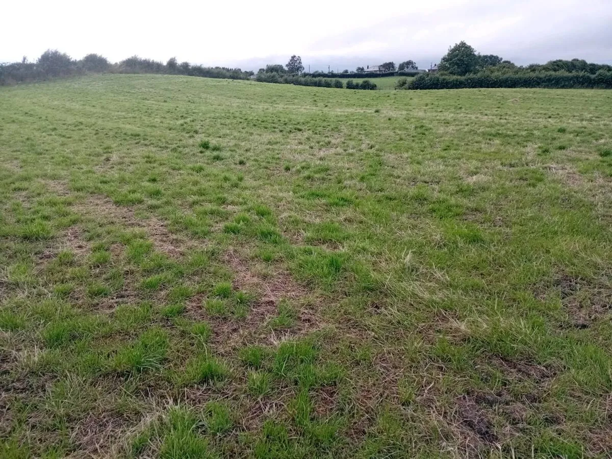 2nd cut silage ground - Image 2