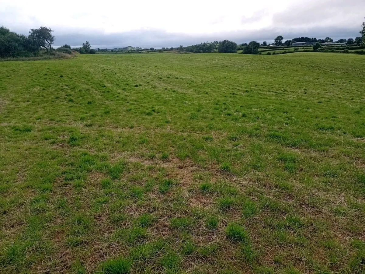 2nd cut silage ground - Image 3