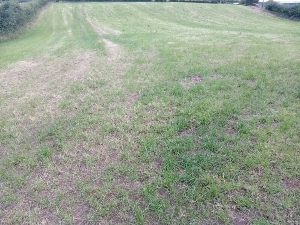 2nd cut silage ground - Image 4