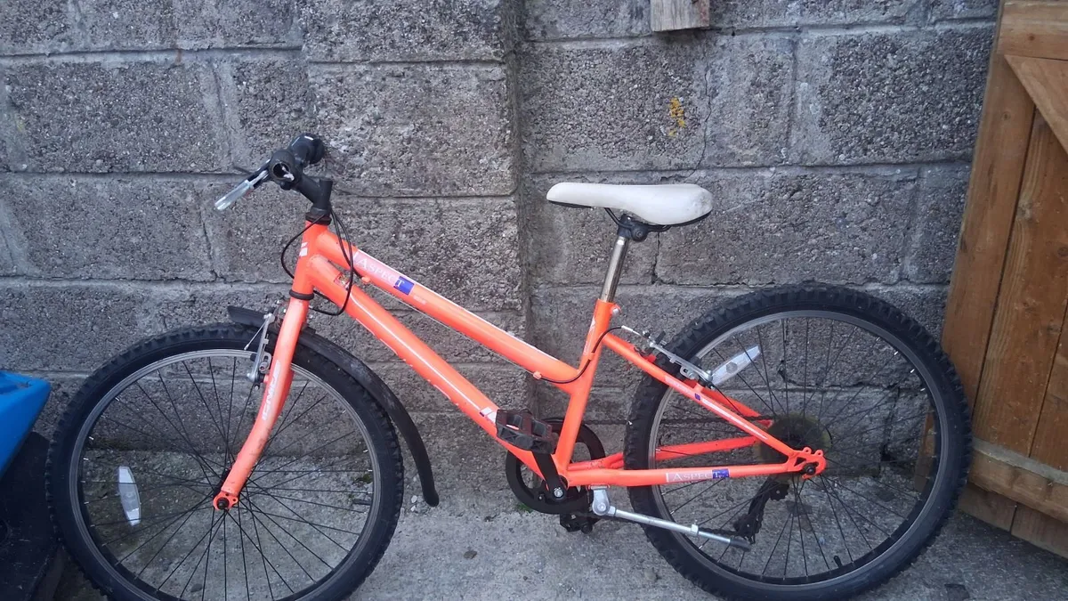 Girls mountain bike
