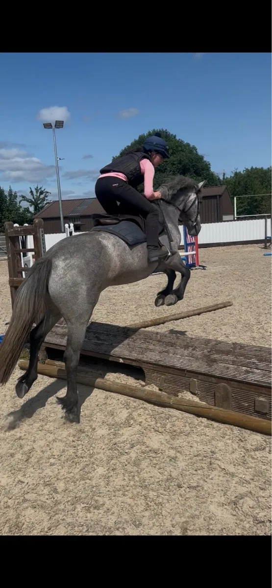 Class 1 connemara 🌟 - Image 2