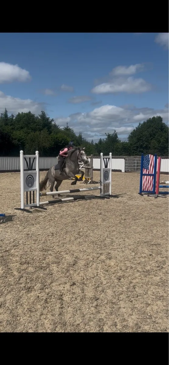 Class 1 connemara 🌟 - Image 3