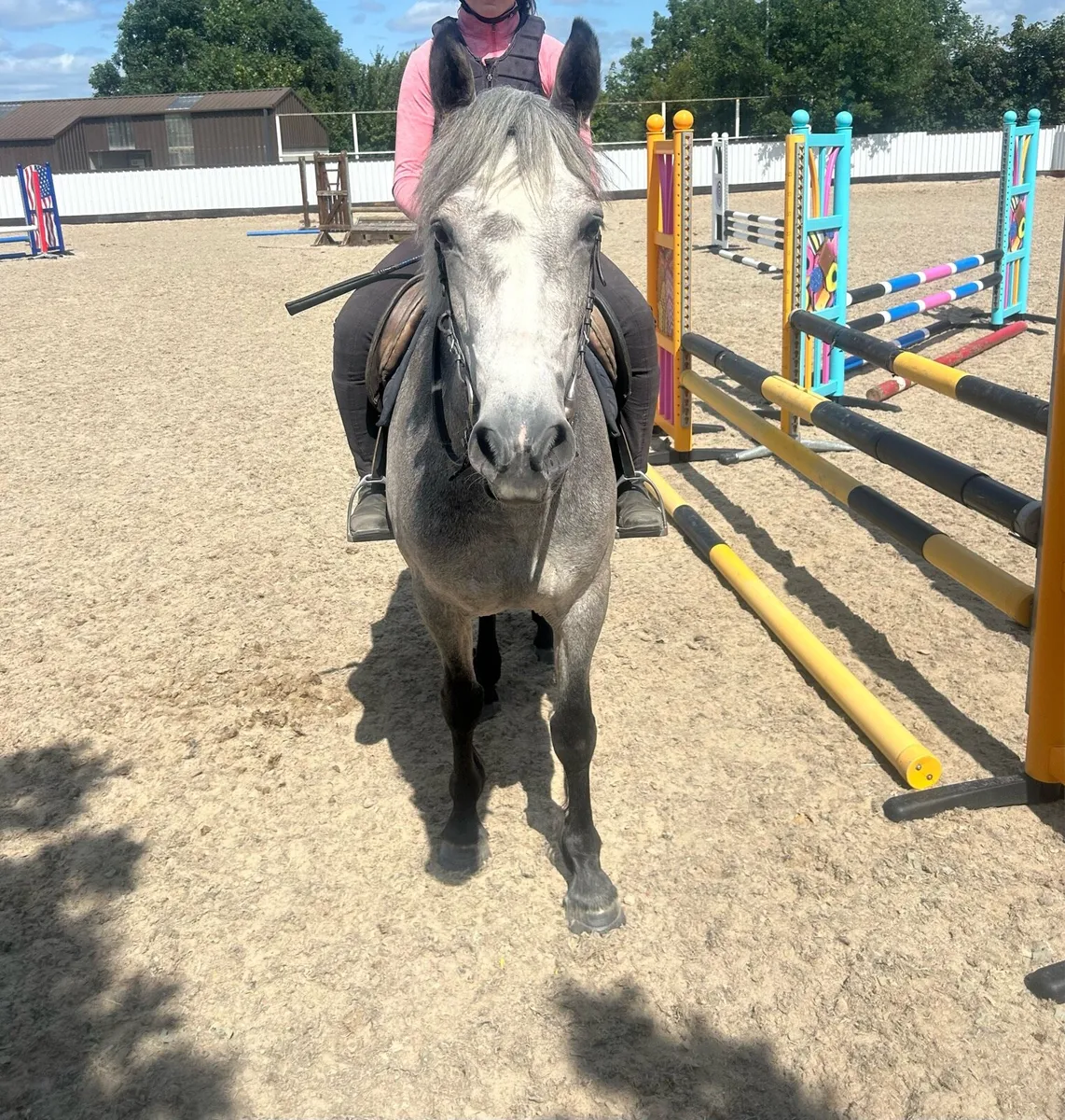 Class 1 connemara 🌟 - Image 1