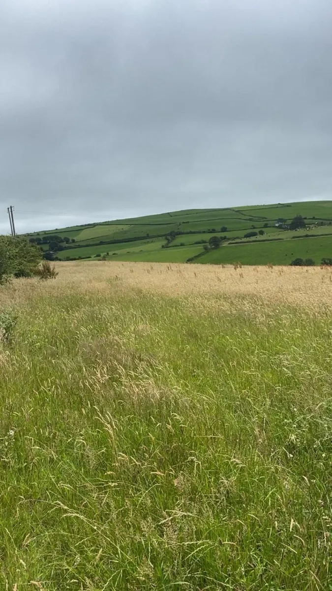 Organic Hay or Haylage Rossmore/Reenascreena Area - Image 1