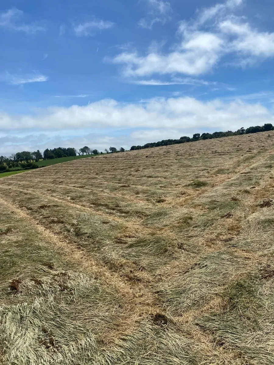 Organic Hay or Haylage Rossmore/Reenascreena Area - Image 2