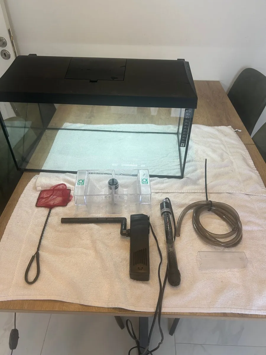 Fish Tank - Image 2