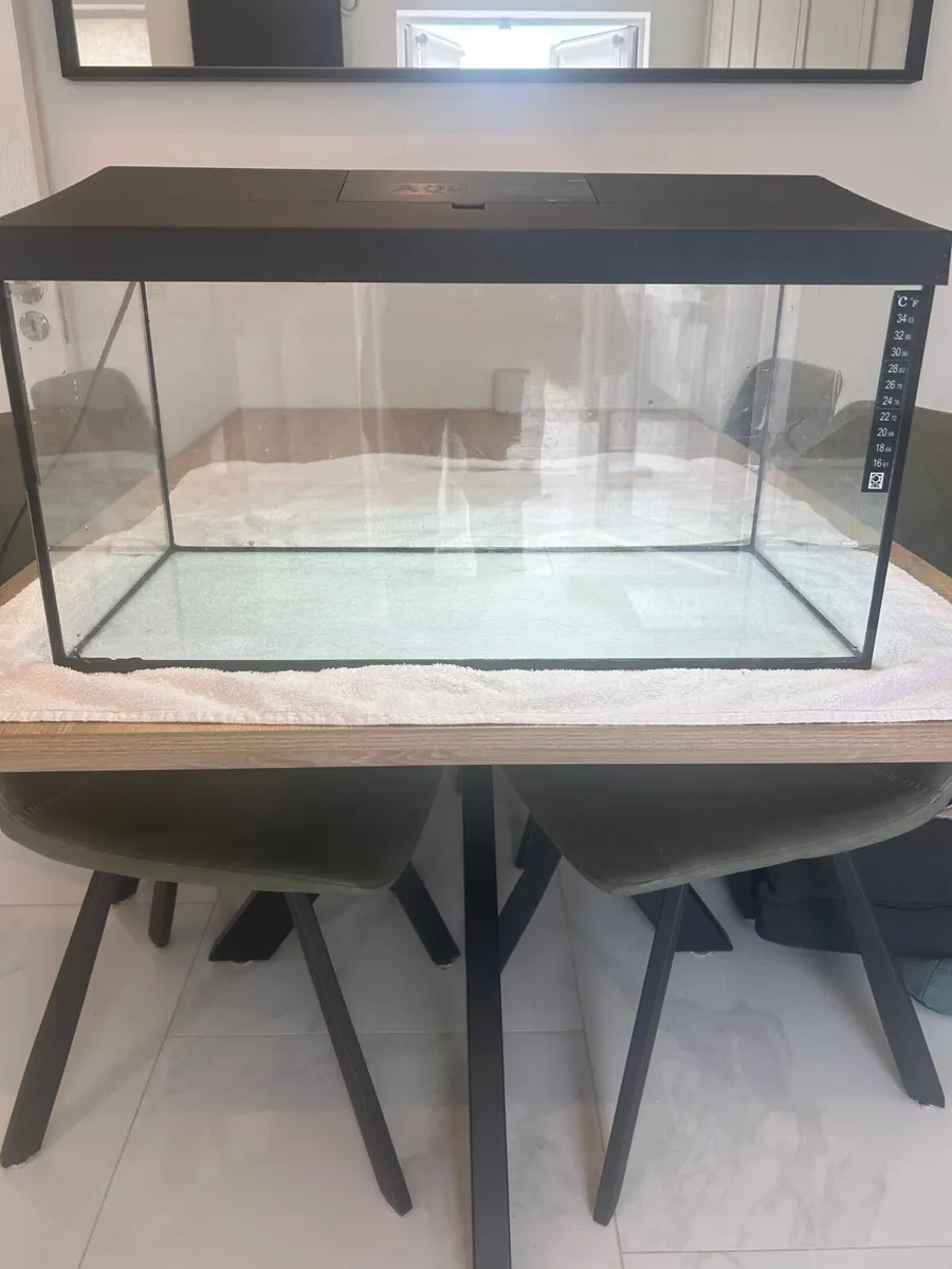 Fish Tank - Image 3
