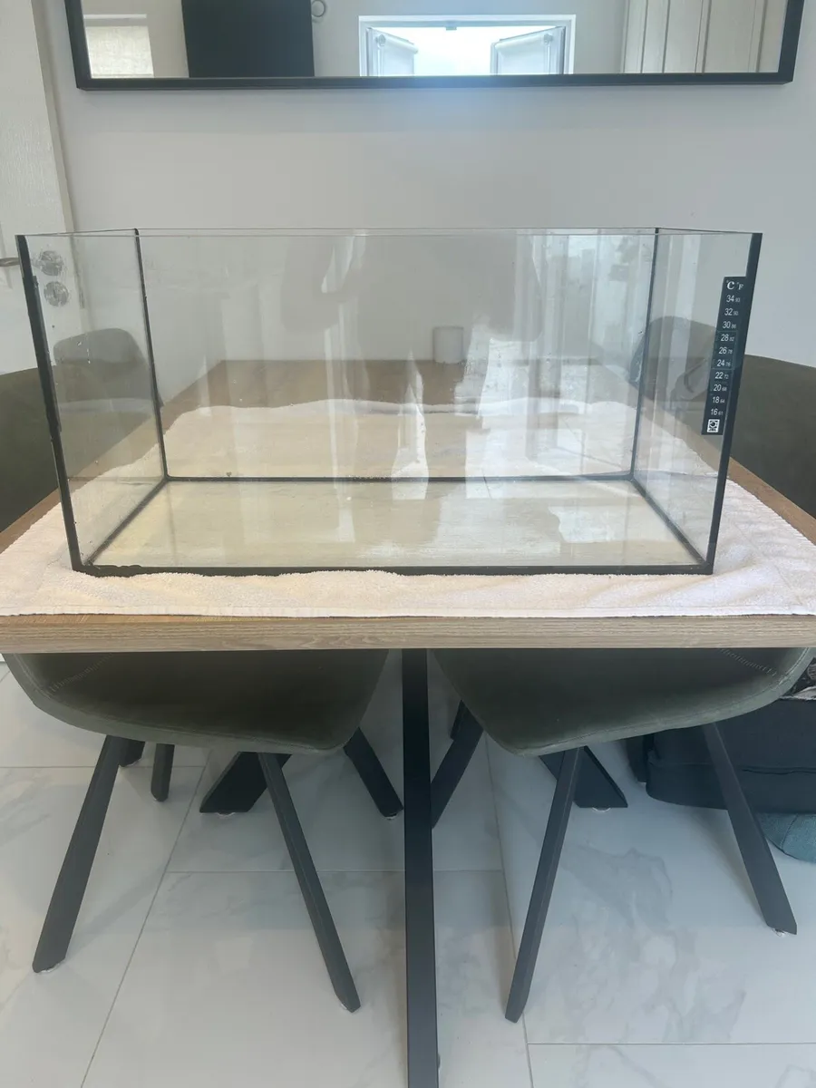 Fish Tank - Image 4