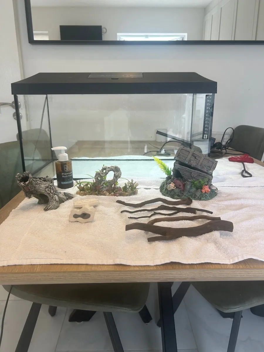 Fish Tank - Image 1