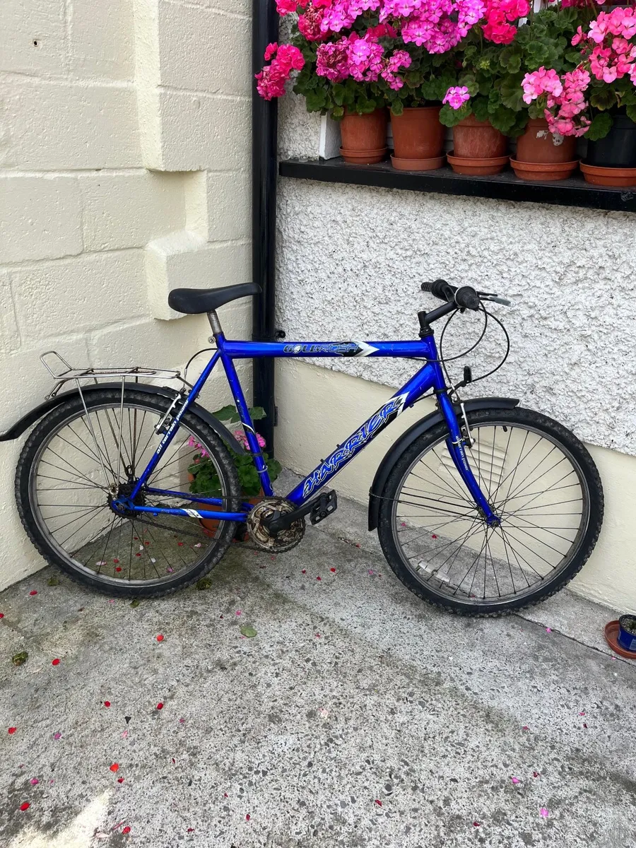 Great bike for sale