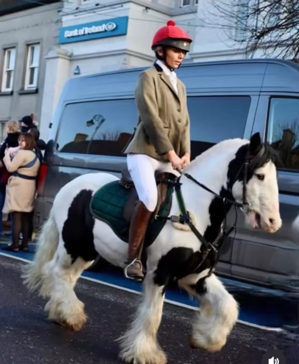 Pony - Image 2