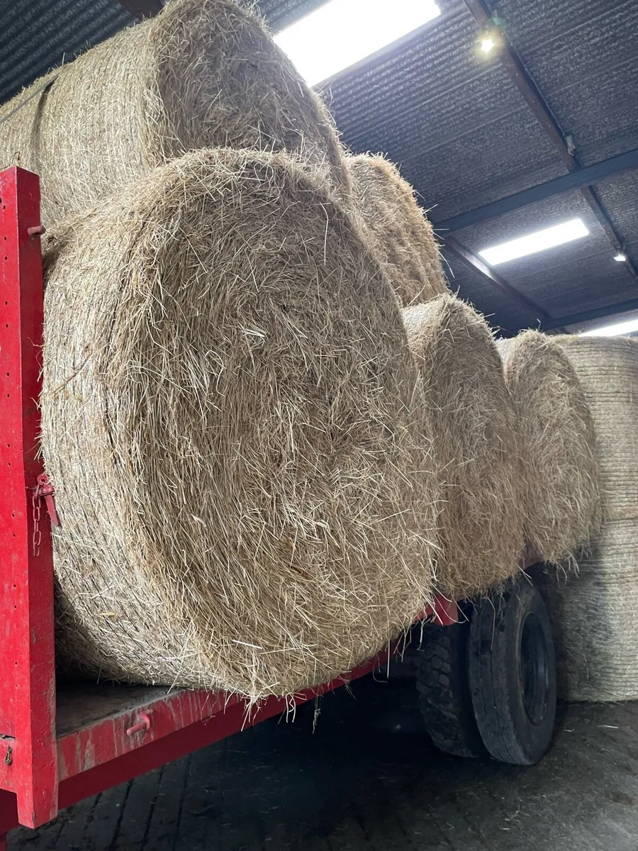 bales of hay - Image 1