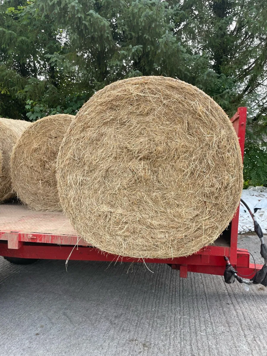 bales of hay - Image 2