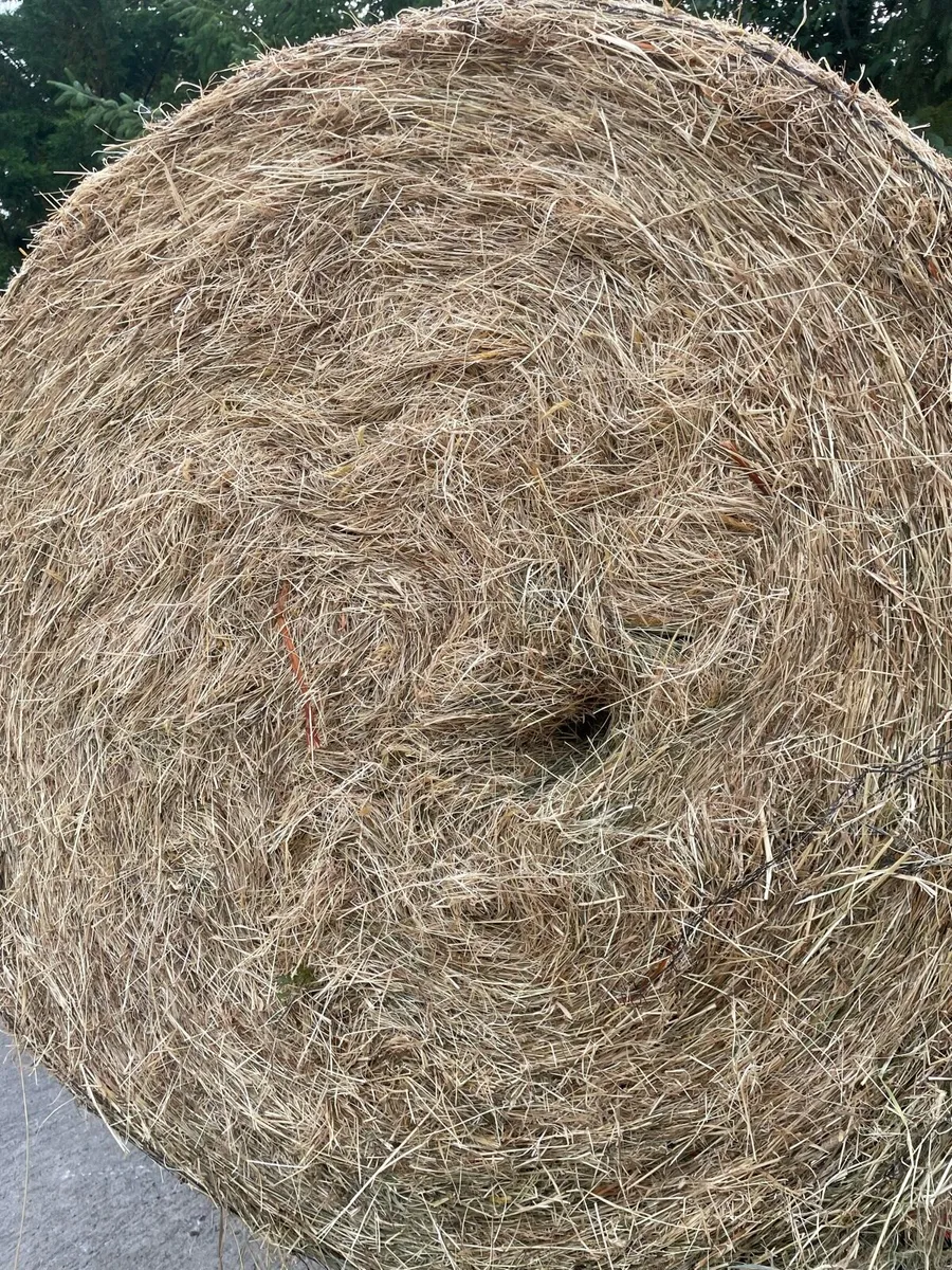 bales of hay - Image 3