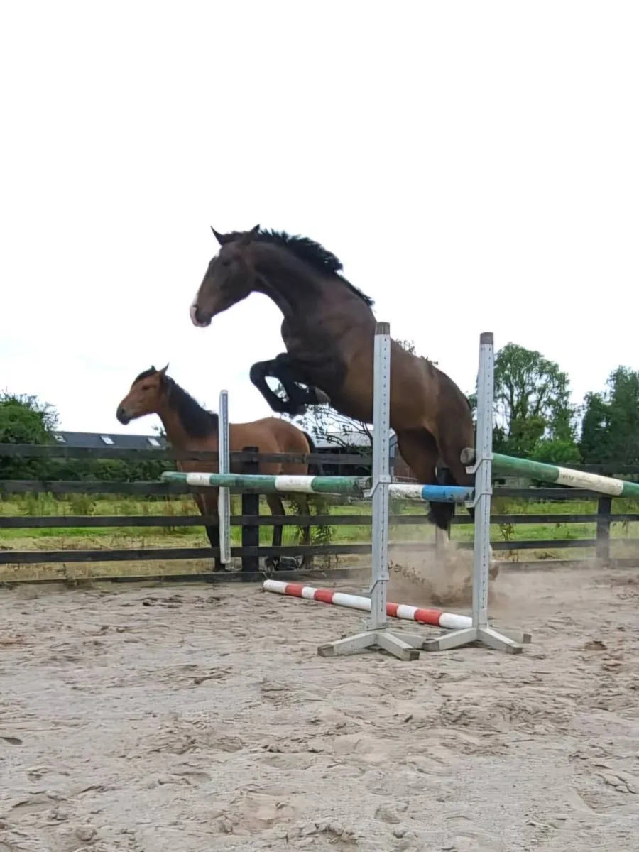 Smart bravour 3 year old - Image 1