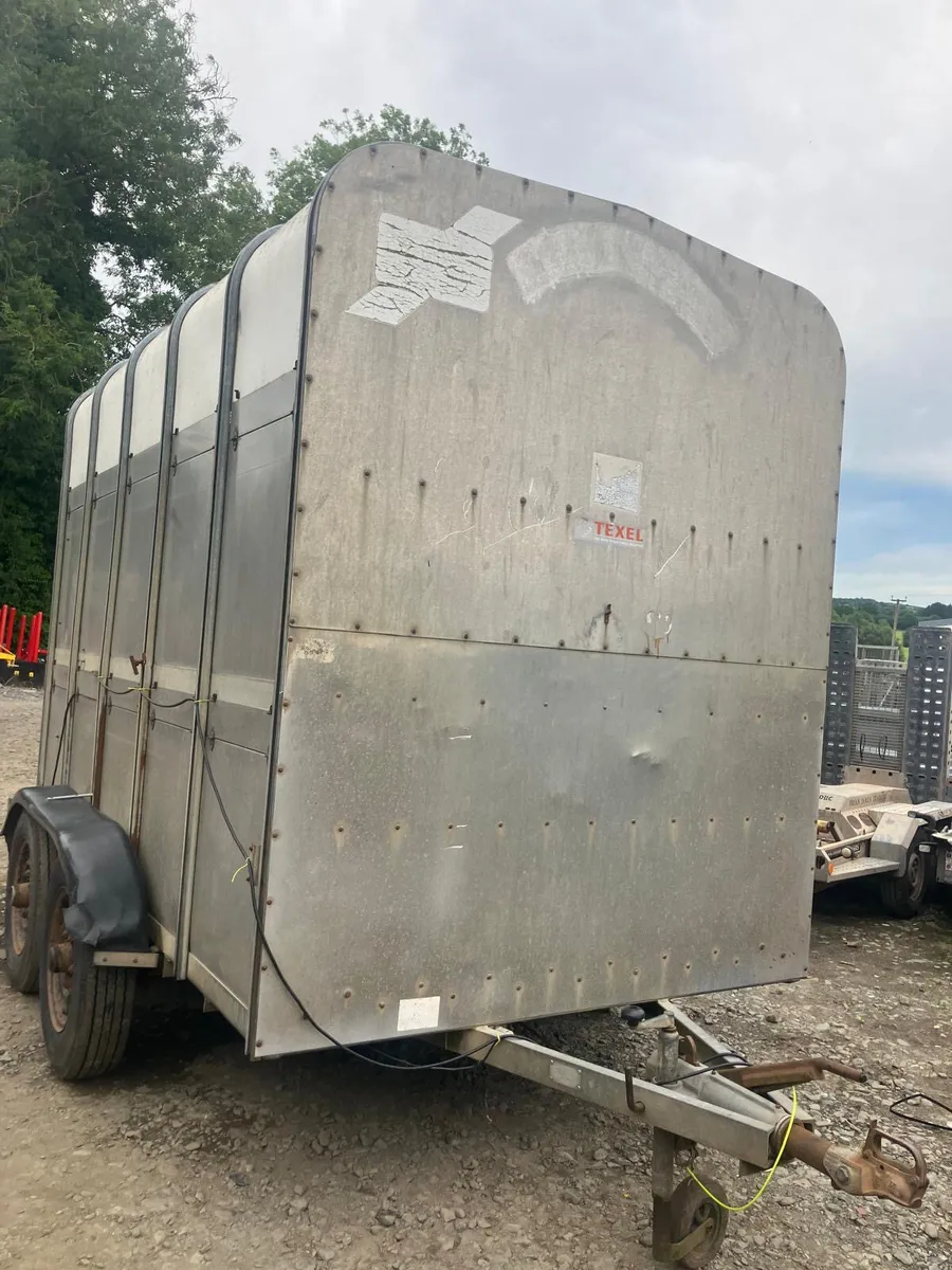 Ifor Williams 10ft high roof cattle trailer - Image 1