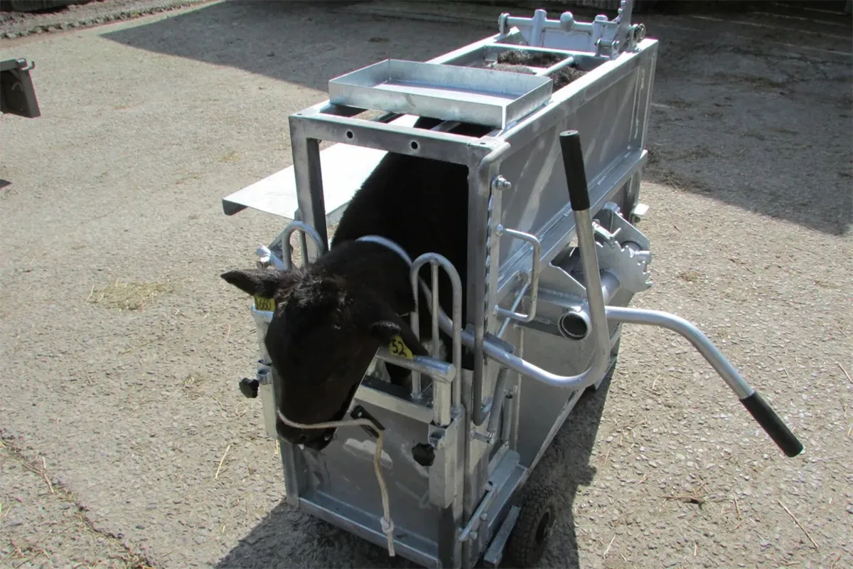 Dehorning Crate - Image 2