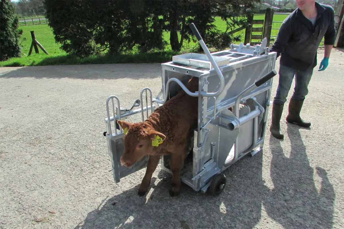 Dehorning Crate - Image 1