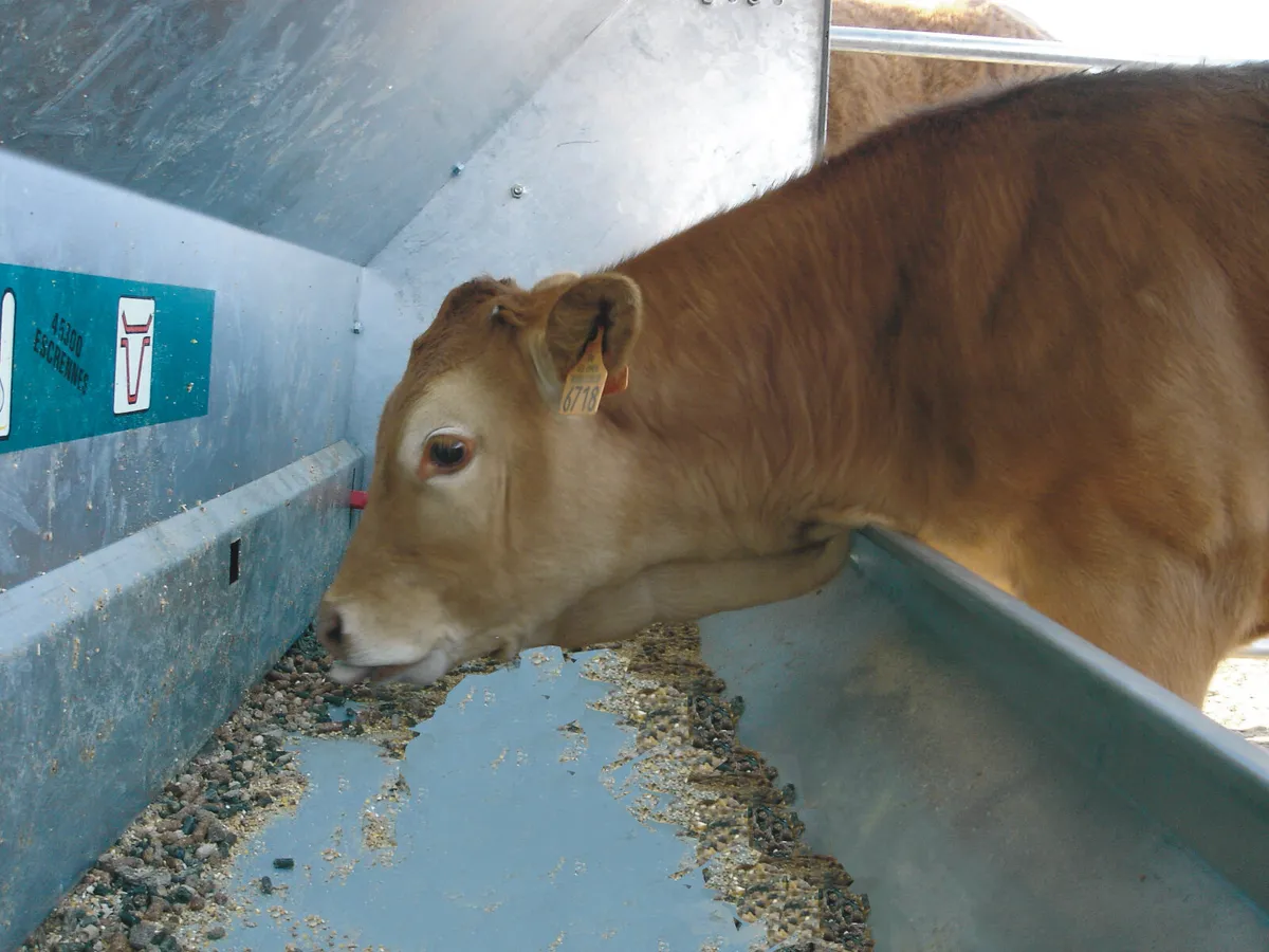 Jourdain Creep Feeder - Image 3