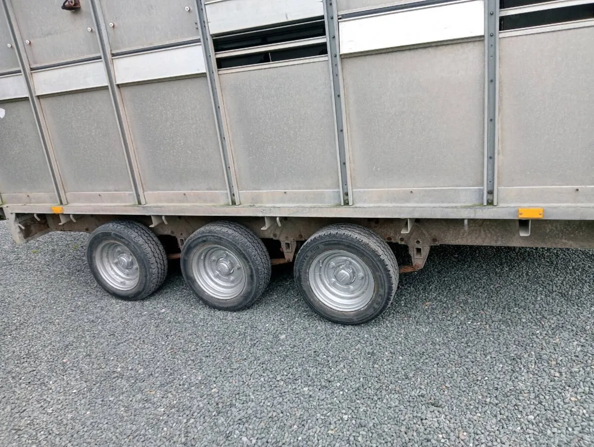 CATTLE TRAILER - Image 2