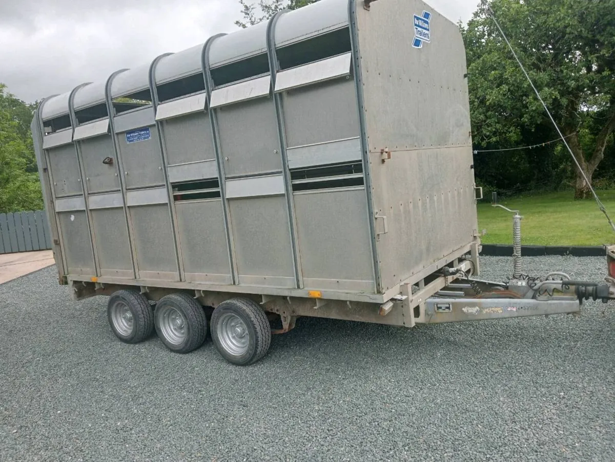 CATTLE TRAILER - Image 1
