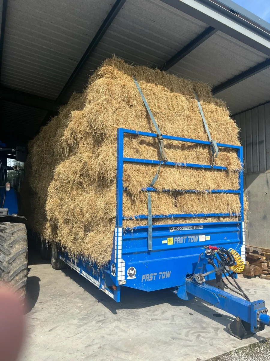 Small square hay bales - Image 1