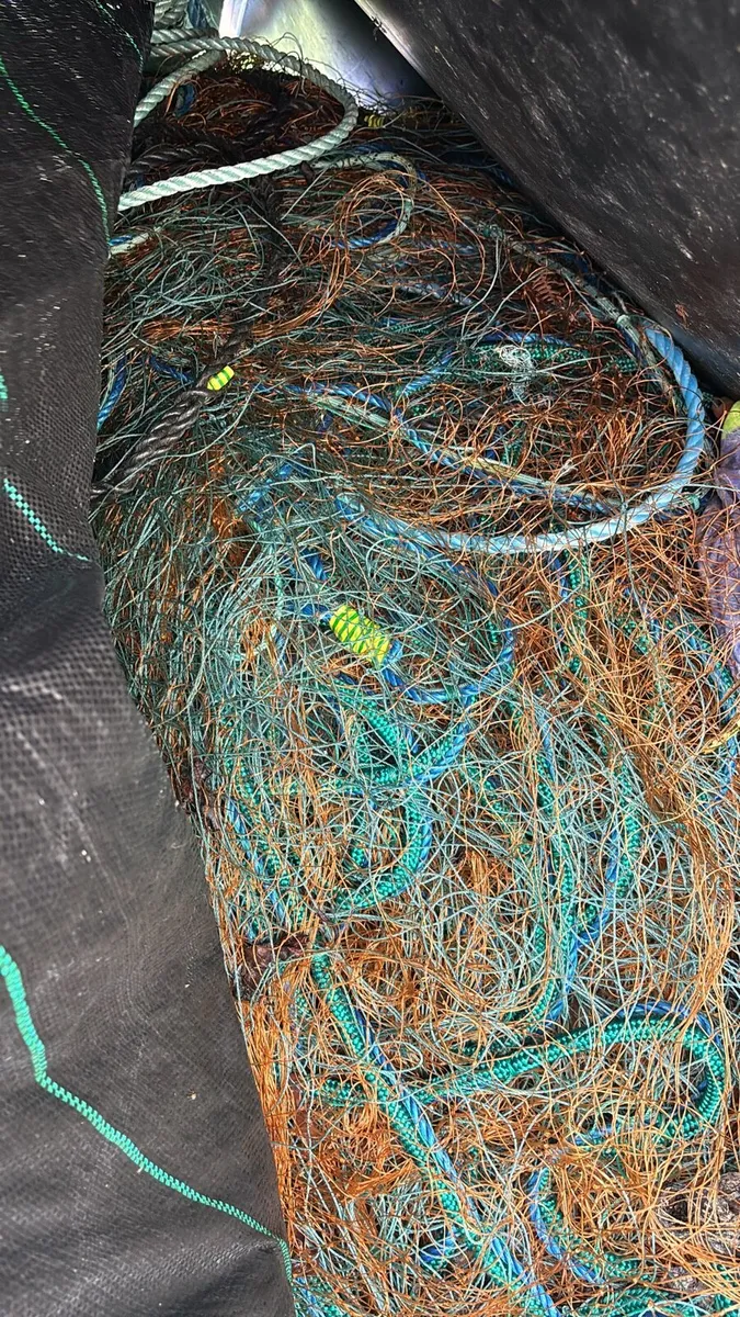 Tramel nets - Image 1