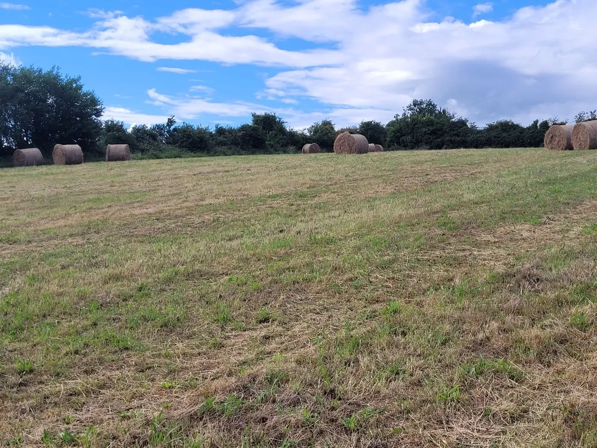 Good Hay  for Sale Co Meath - Image 3