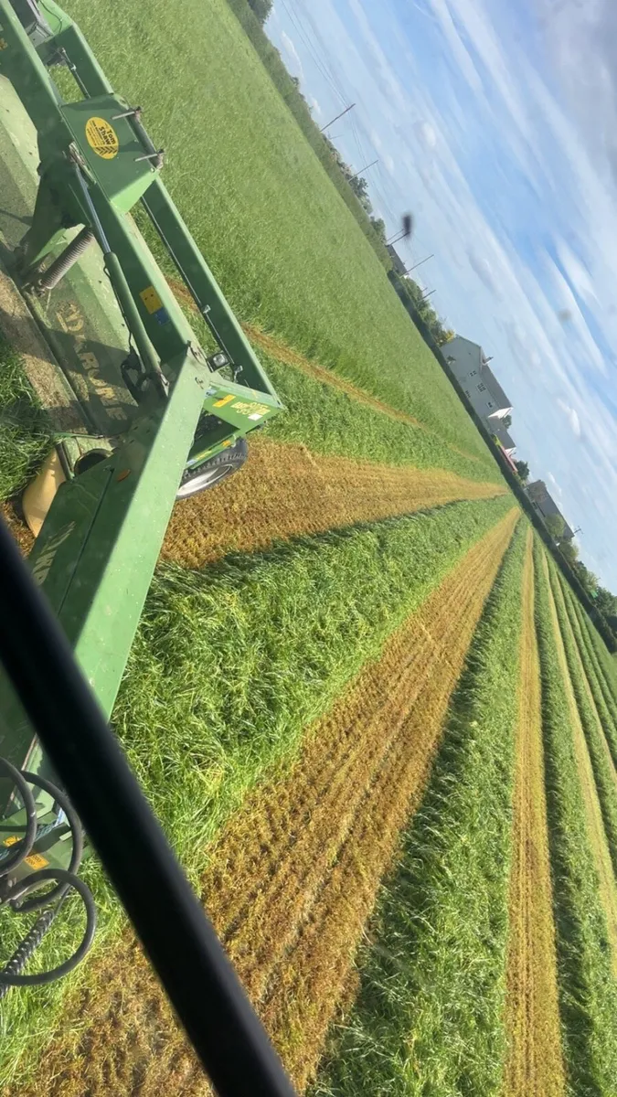 Top quality new grass baled Silage for sale