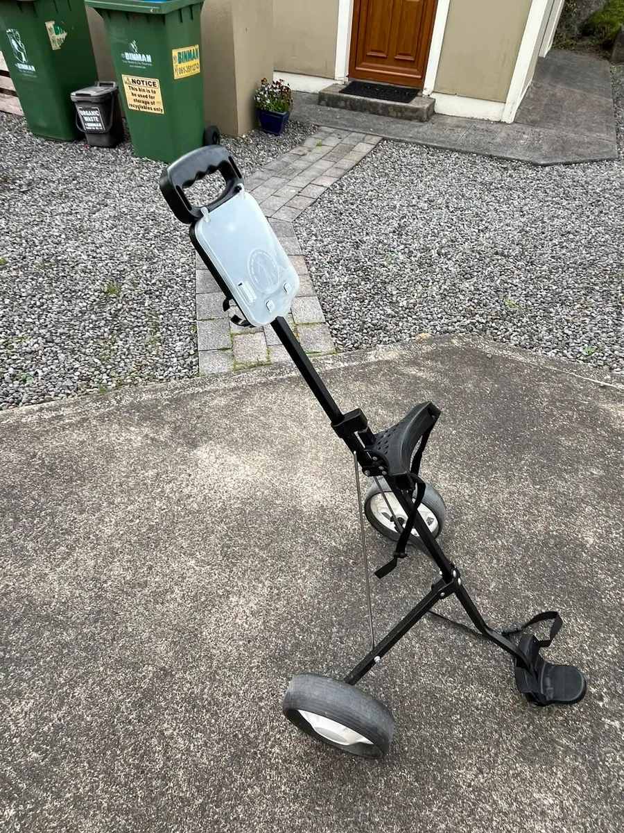 Golf cart - Image 1