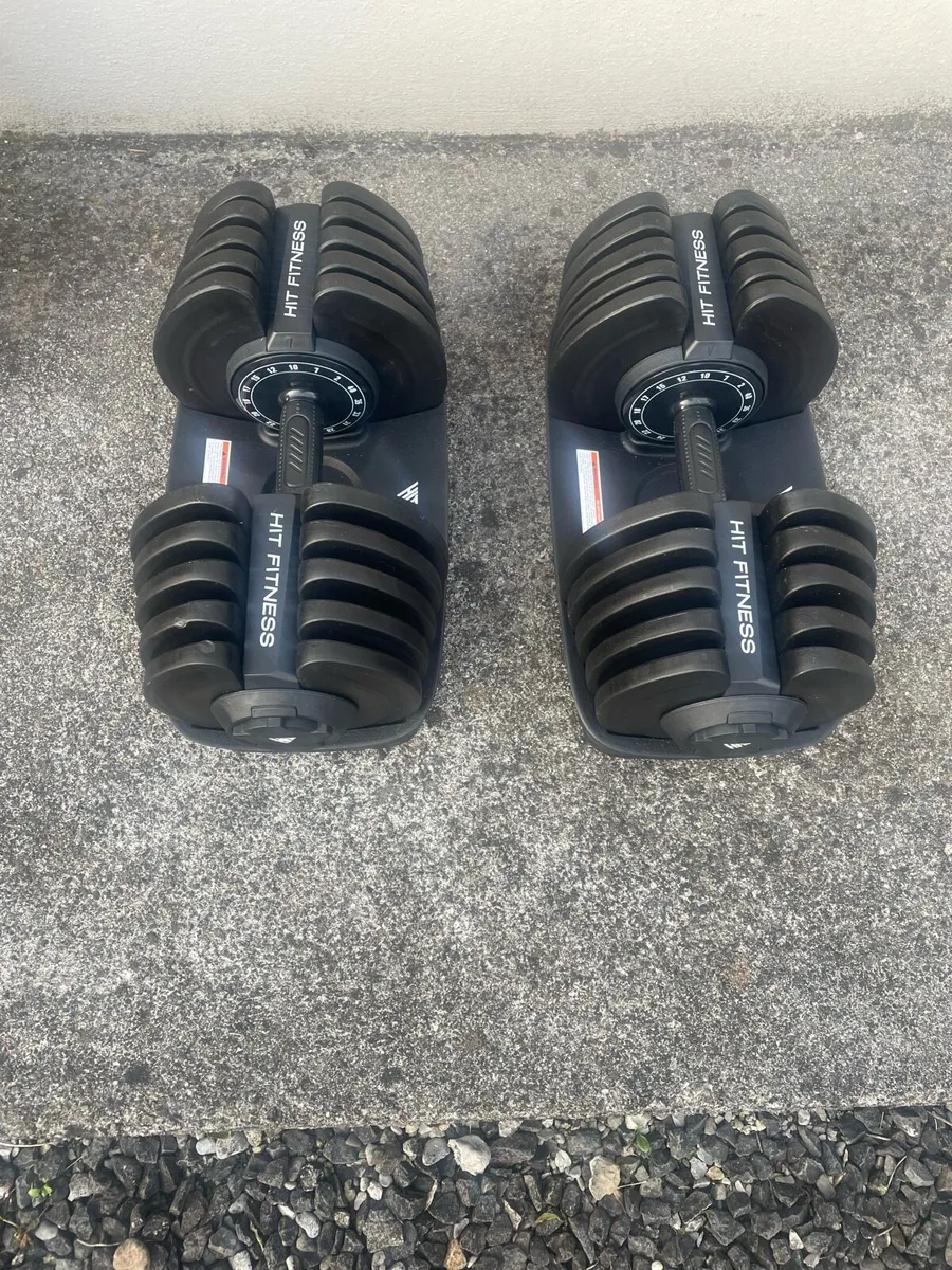 Adjustable Dumbells and bench - Image 1