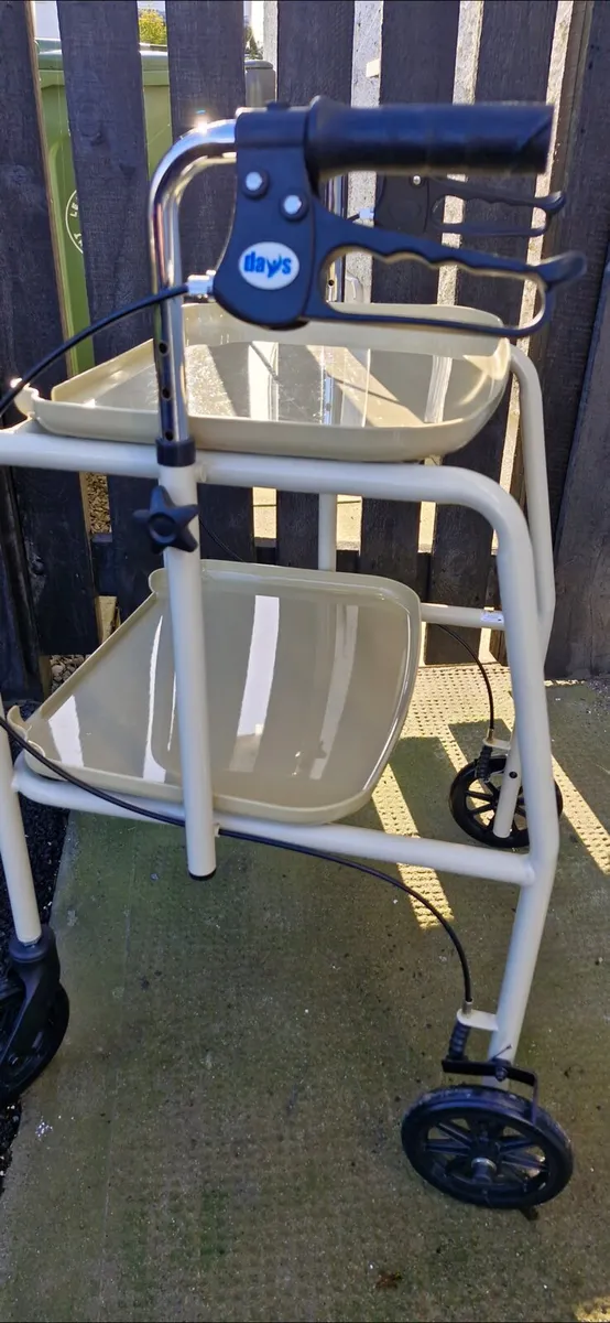 Walker adult - Image 2