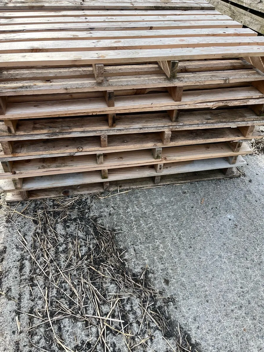 Free pallets - Image 2