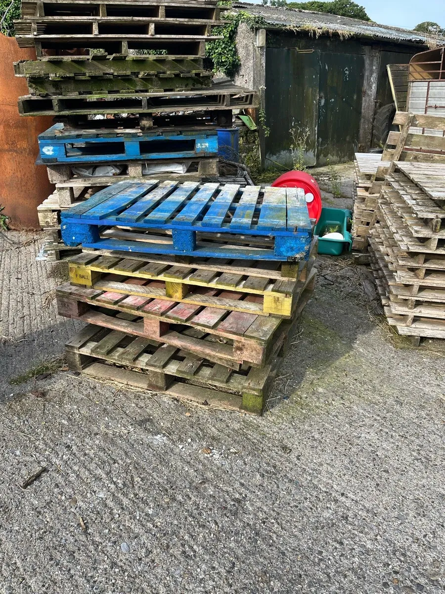 Free pallets - Image 1