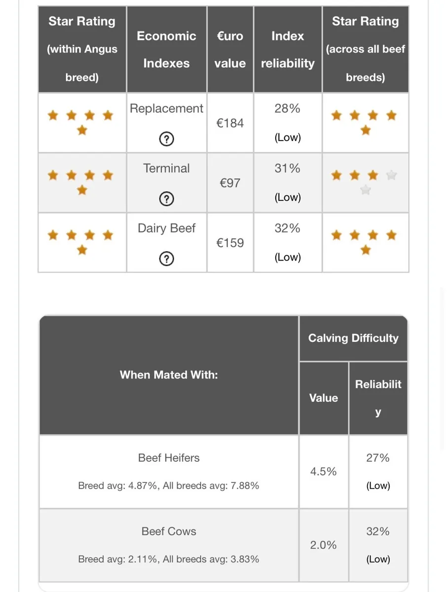 Pedigree Registered 5 star Aberdeen Angus for sale - Image 2