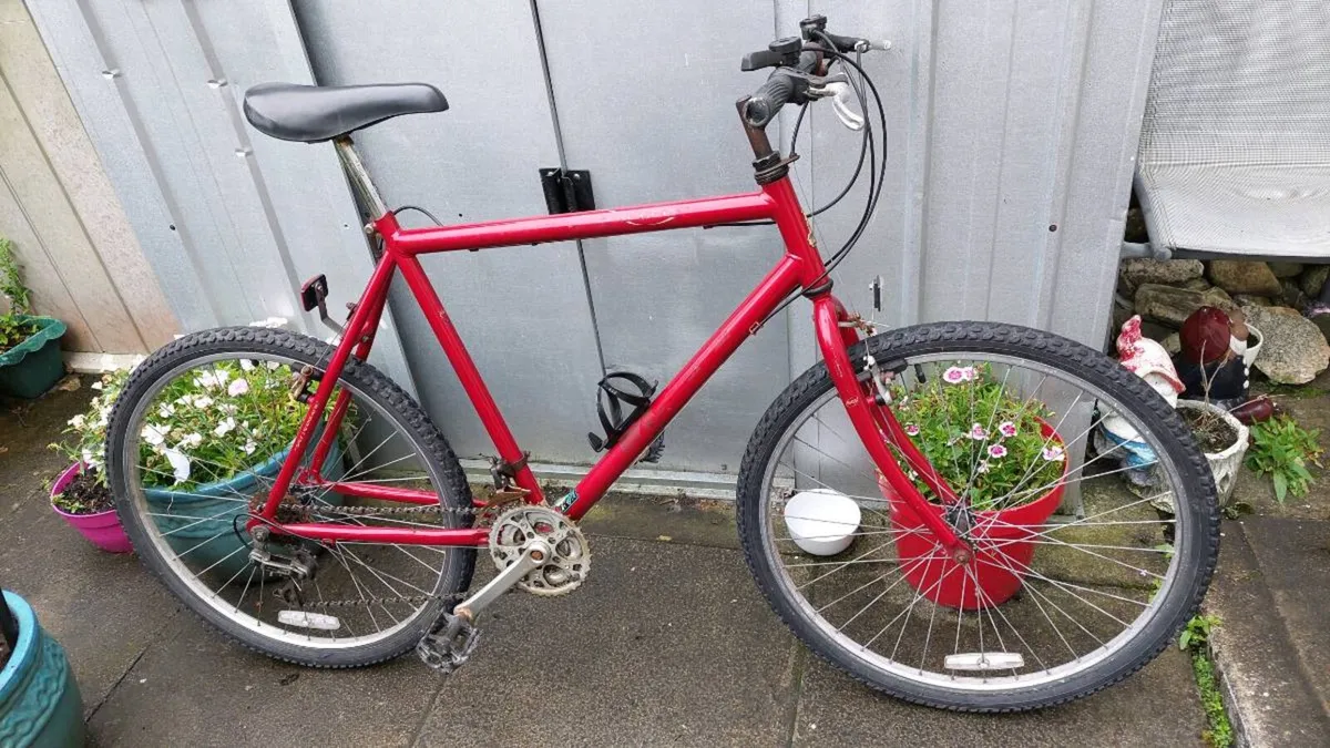 Raleigh Sirocco Bike Large Frame - Image 1