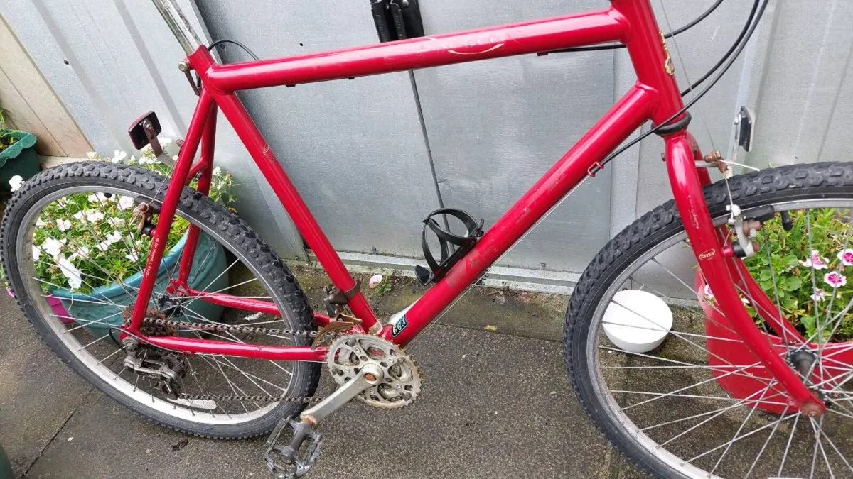 Raleigh Sirocco Bike Large Frame - Image 2