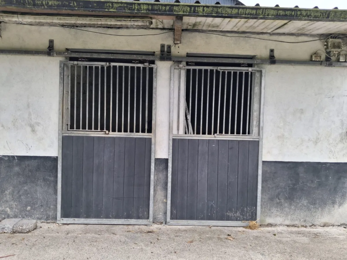 Stable doors - Image 2