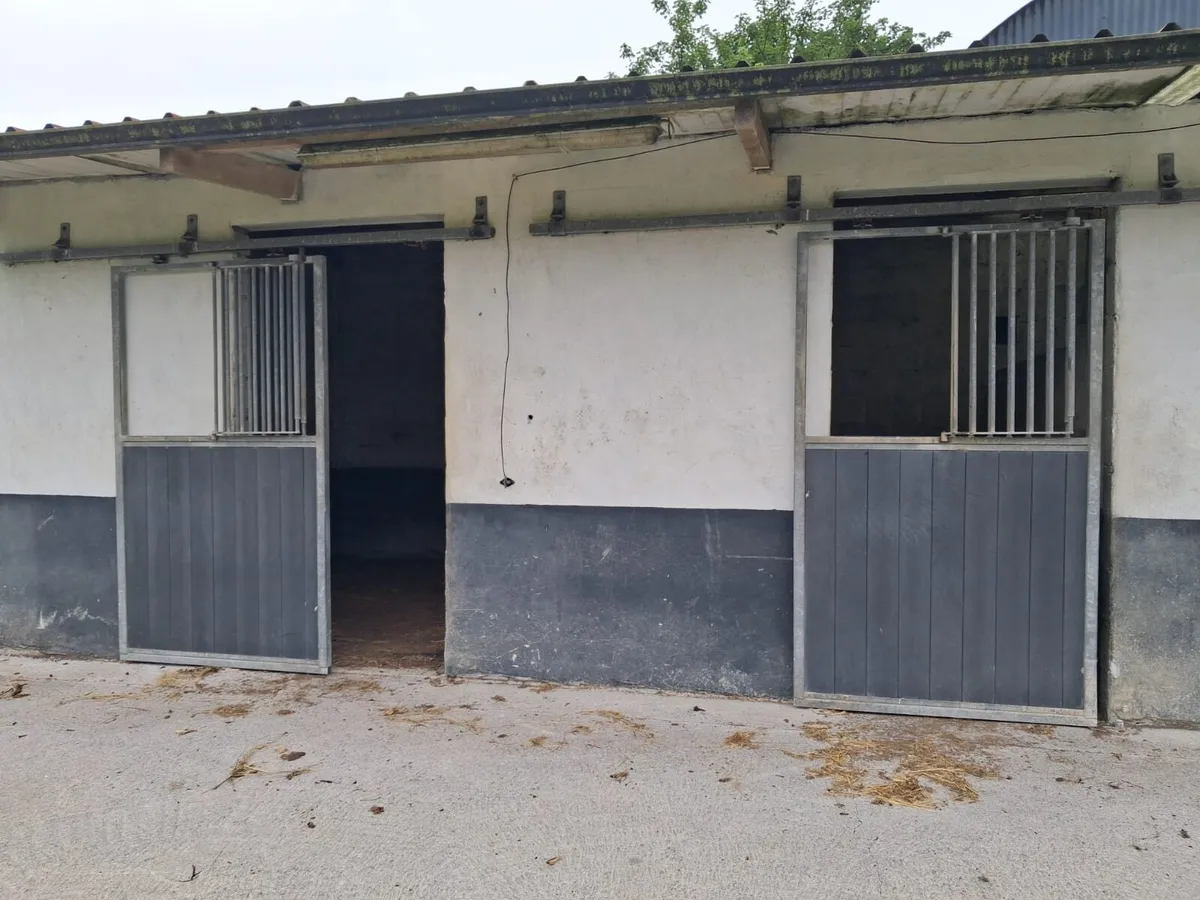 Stable doors - Image 3