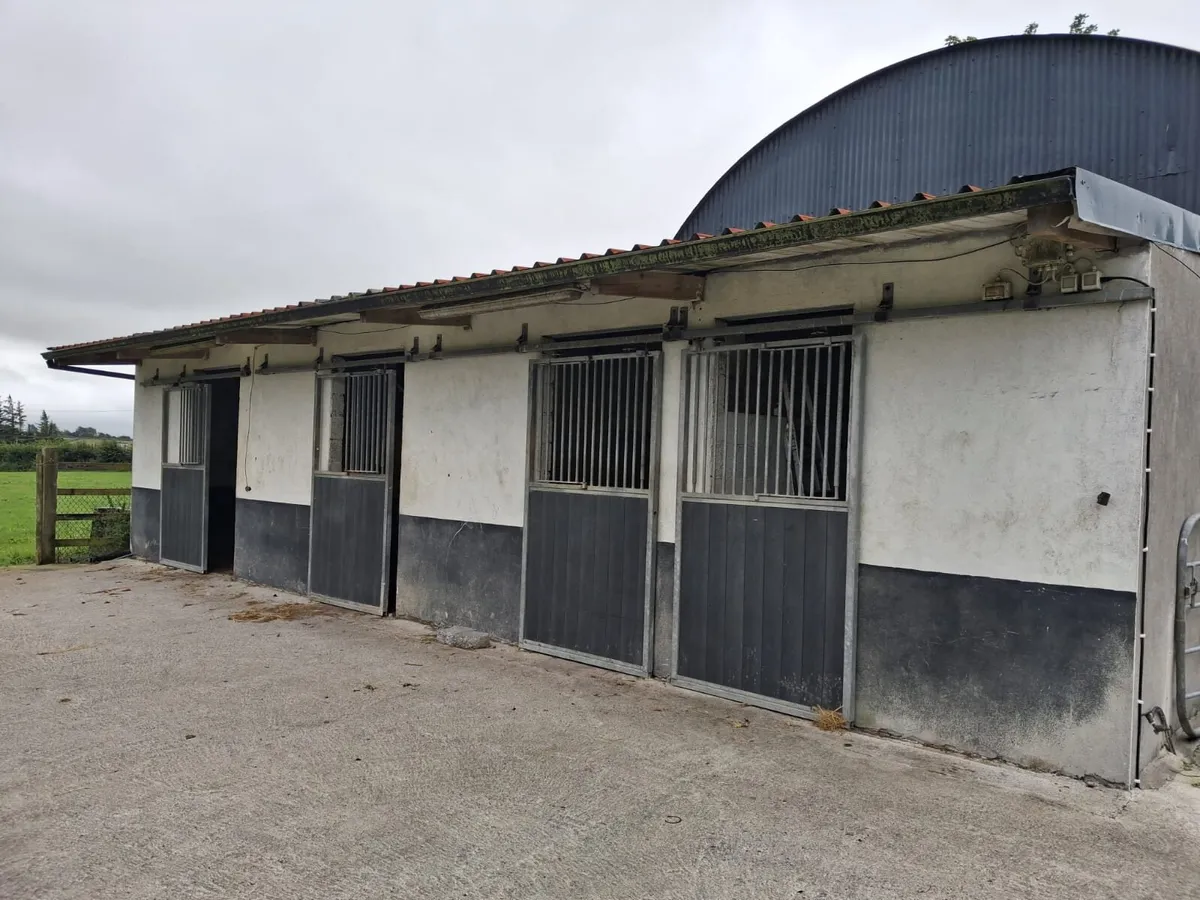 Stable doors - Image 4