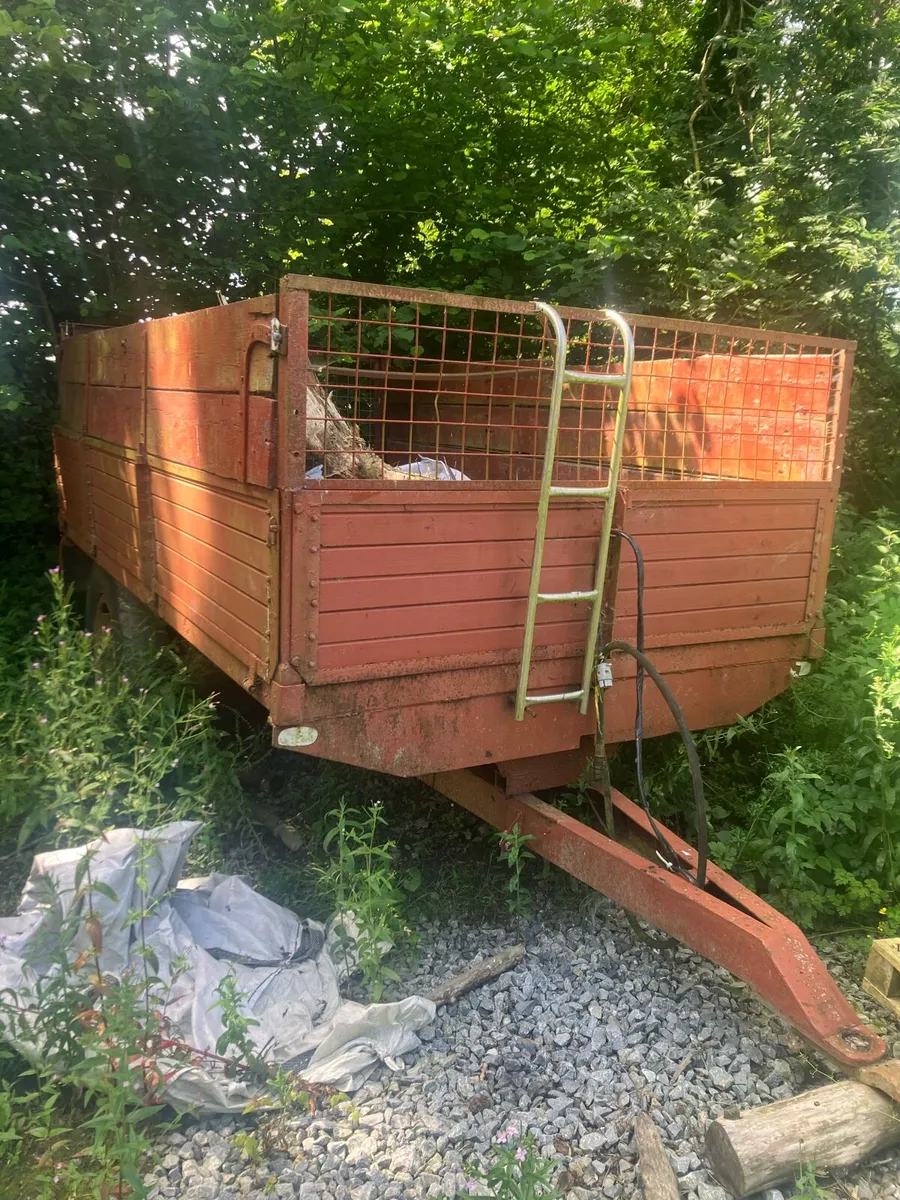 Timber tipping trailer - Image 2