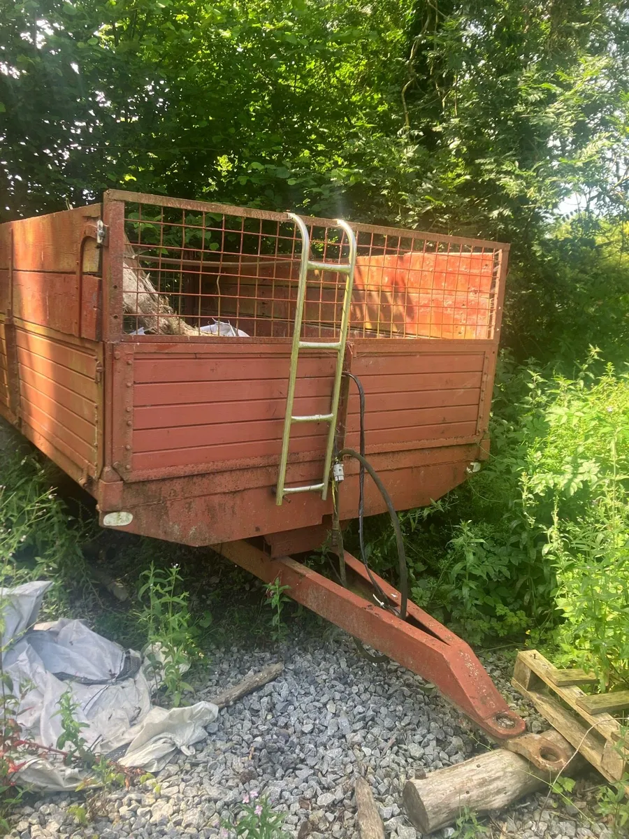Timber tipping trailer - Image 1