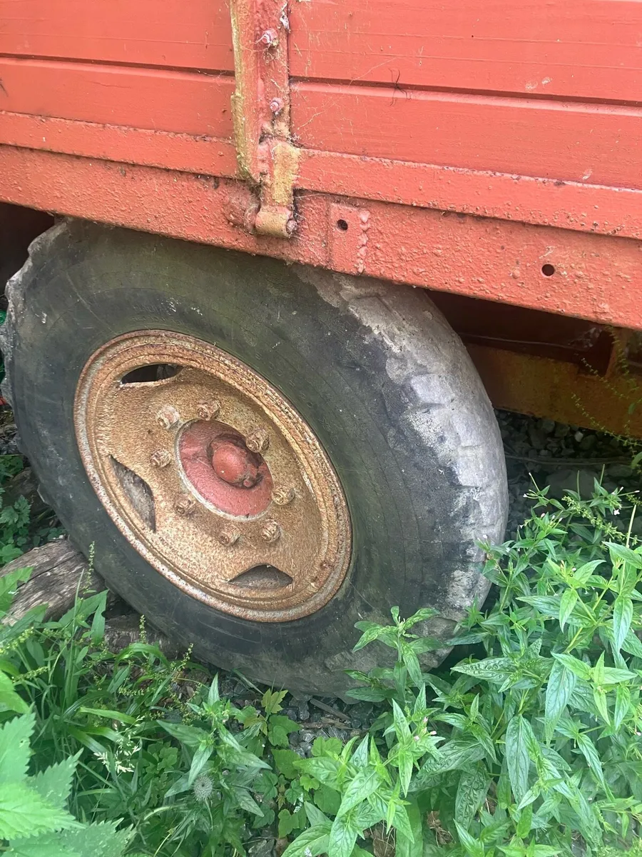 Timber tipping trailer - Image 3