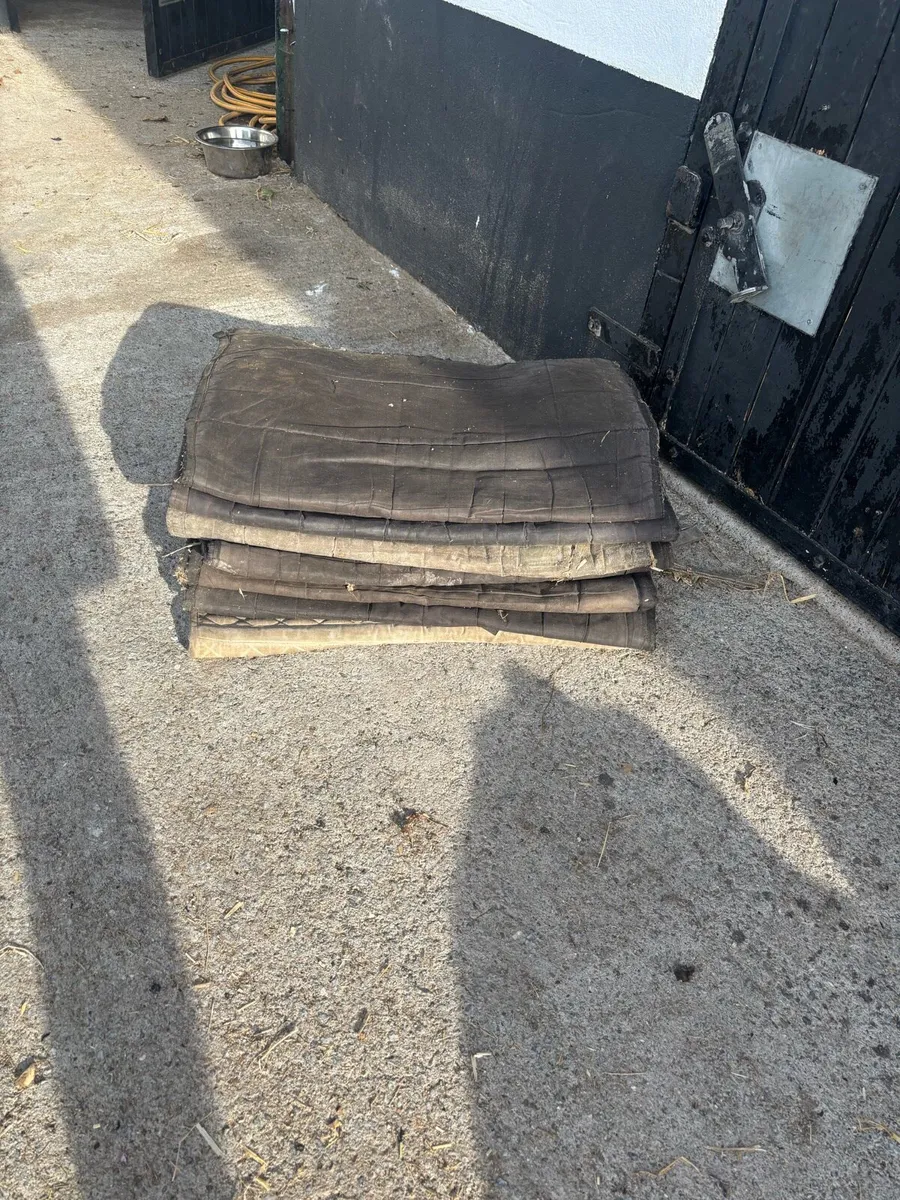 Stable And Sweat Rugs And Tack For Sale - Image 3