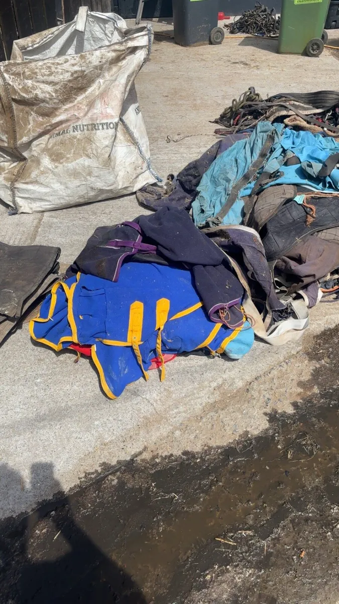 Stable And Sweat Rugs And Tack For Sale - Image 4
