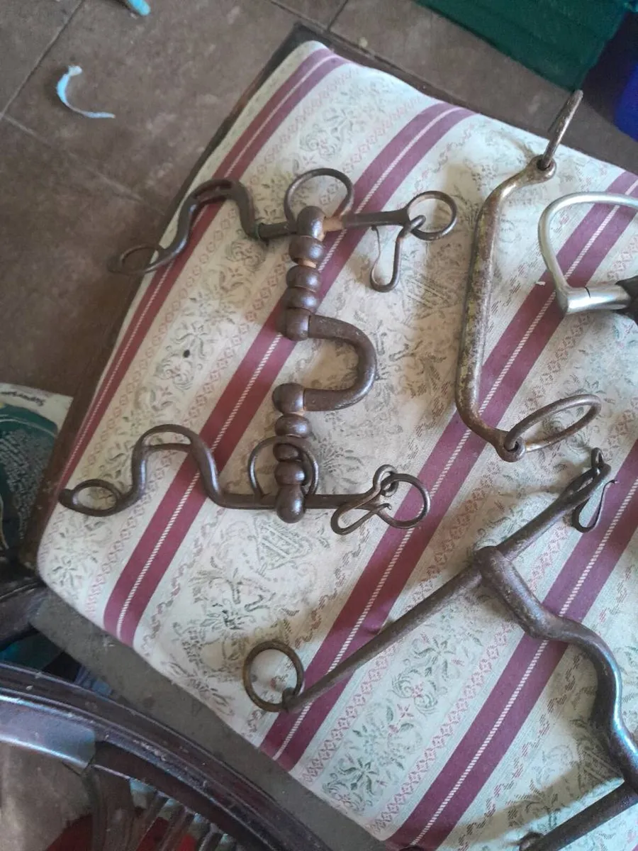 Old horse bits - Image 2