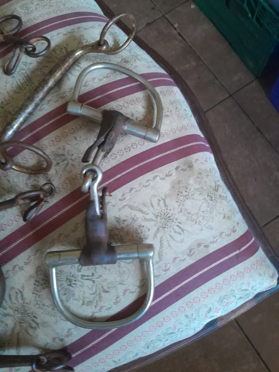 Old horse bits - Image 3