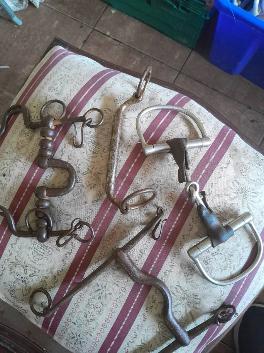 Old horse bits - Image 1